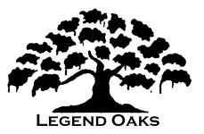 Legend Oaks Golf  & Tennis Club Summerville South Carolina 1851633-1612224502429-3